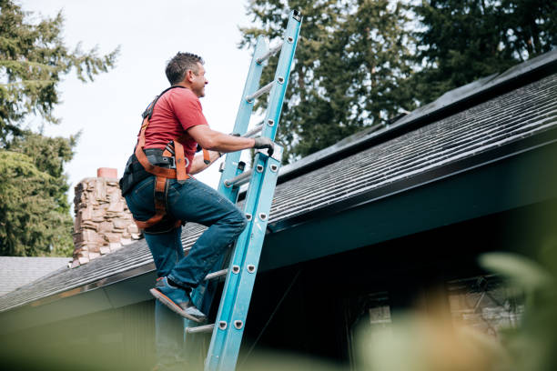 Roof Moss and Algae Removal