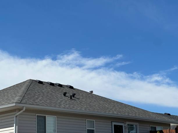  Novato, CA Roofing Service Pros